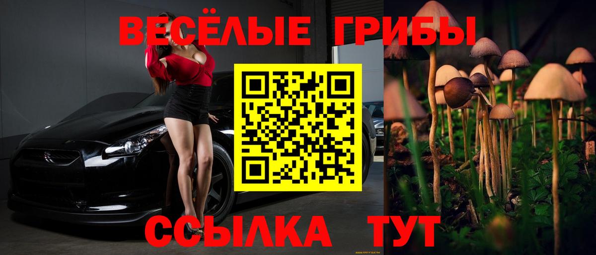 Псилоцибиновые грибы Psilocybine cubensis  Вход с VPN  Галлюциногенные грибы мухоморы  Псков 